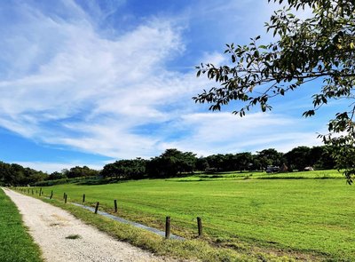 🏕️ 숲의 목장 오토캠핑장(모리노마키바오토캠프조) 이미지 2